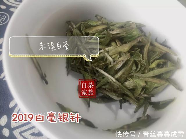 你也陷入了泡白茶的迷局吗温水和沸水,哪个才是最适合的水温