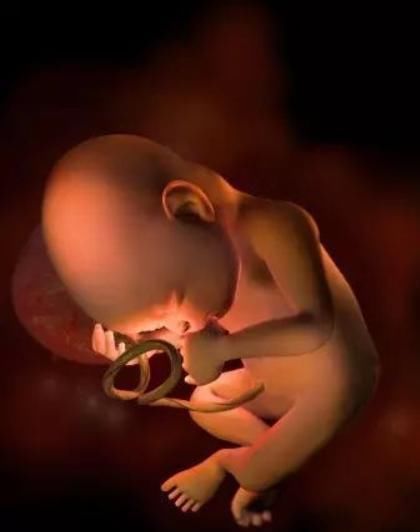 试管婴儿|正常的婴儿和试管婴儿会有什么不同呢？了解一下就清楚了