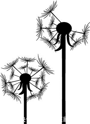 文化产业变革随笔