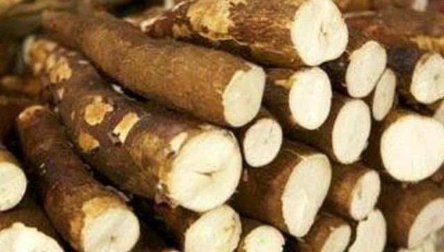 长在地里像木棍，味道却像极山药，营养高价格便宜