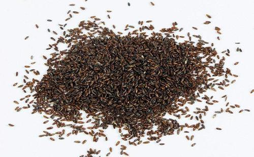 小便|车前子,百姓的治病良药!7大顶级妙用,极少人知道!全家都受益