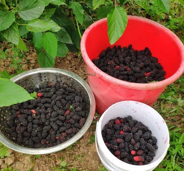 朋友圈|看朋友圈晒囤菜，外婆霸气称：一年不买菜，鸡肉海鲜蔬菜吃不完