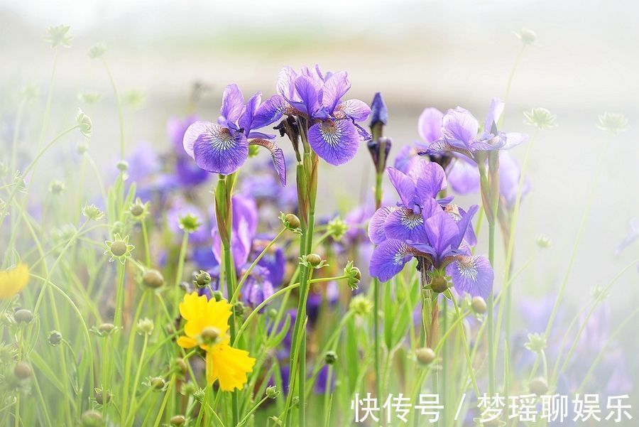 烂桃花|易和男生发生暧昧的3大生肖女, 一生烂桃花极多!