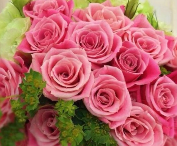 “稀有玫瑰”泰姬，如佳人飞舞，雍容典雅，可以说是养花必备！