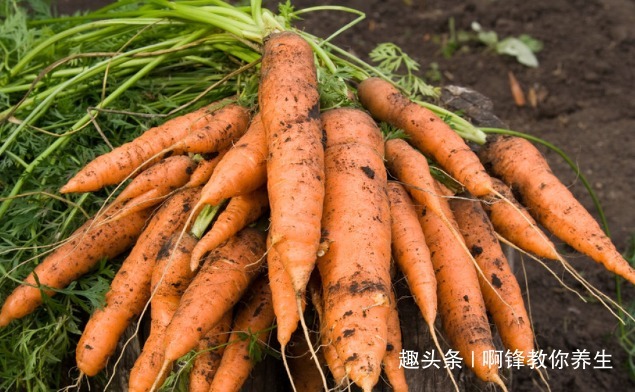 胡萝卜|吃完胡萝卜短时间内,不要碰此物,有很多人不清楚,早知早好