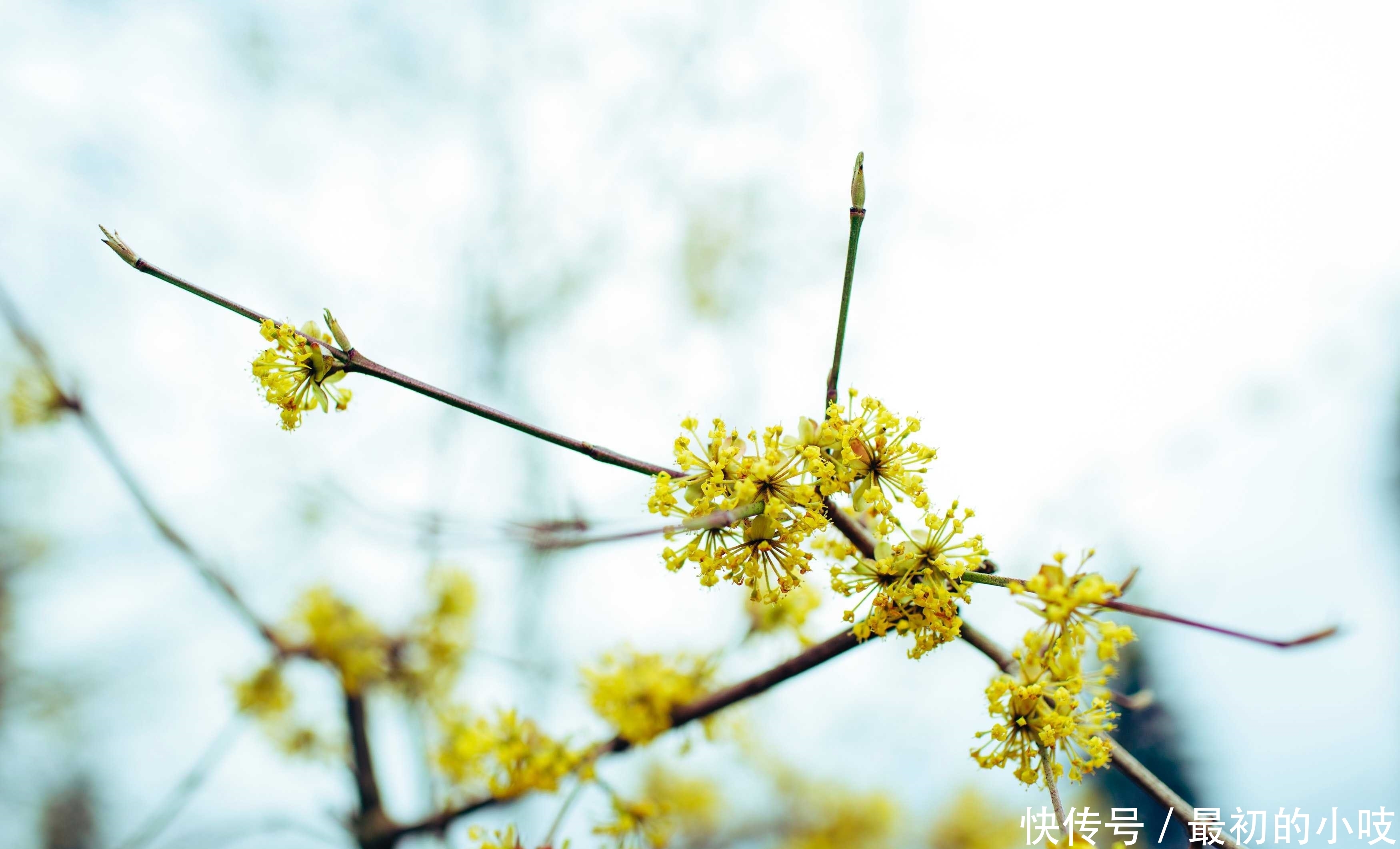 一个家庭为什么矛盾不断？3点是罪魁祸首，可惜很多人不明白