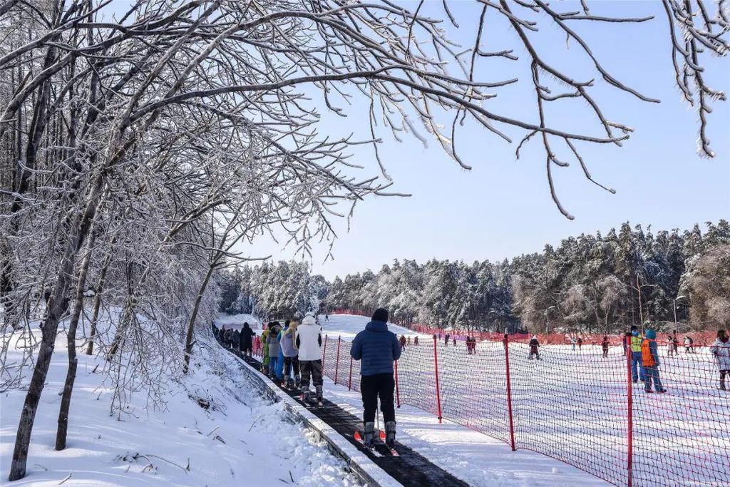 心间|净月潭的雪，美在山川，暖在心间！