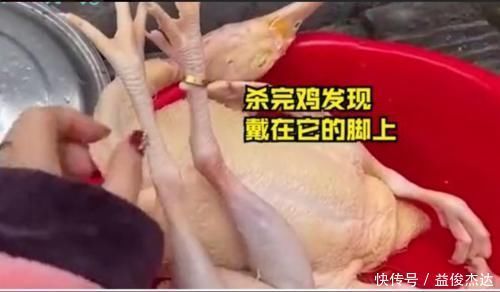 金戒指|一女子回家杀年鸡,拔光毛后发现脚上有金光,一家人都乐开了花