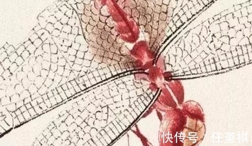 毛丝!齐白石的“一只蜻蜓”能拍690万高价?专家:放大30倍后再说