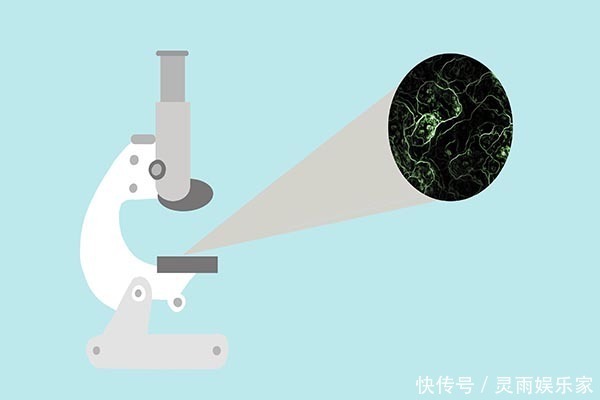 鼻子两侧的鼻翼部位,黑头总是很顽固,教你不用暴力也可轻松去除