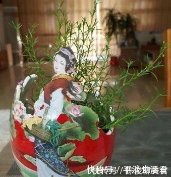 漂亮|这些破烂不要扔，做成“小花盆”，个性又漂亮，比买的强“百倍”！