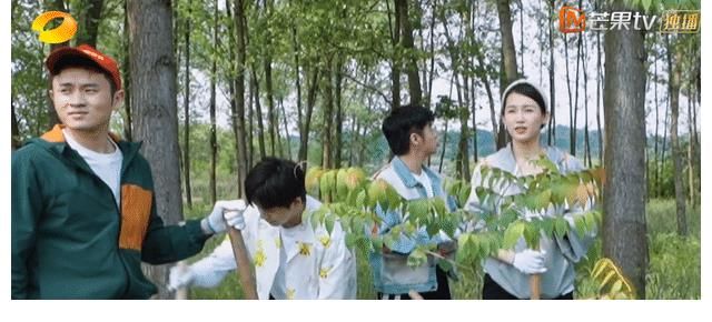 血本|《向往5》节目组下血本一次请来10位嘉宾？可能是何炅零片酬邀约