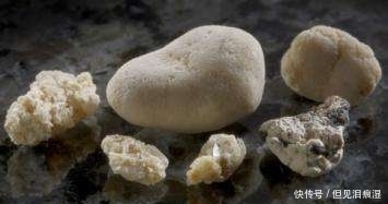 体内|揭秘舍利子之谜。原来很多人都误解了。