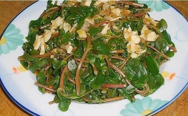 得更|客厅最适合养这种“花”,不仅能乌发,还开花100天,赶紧养1盆