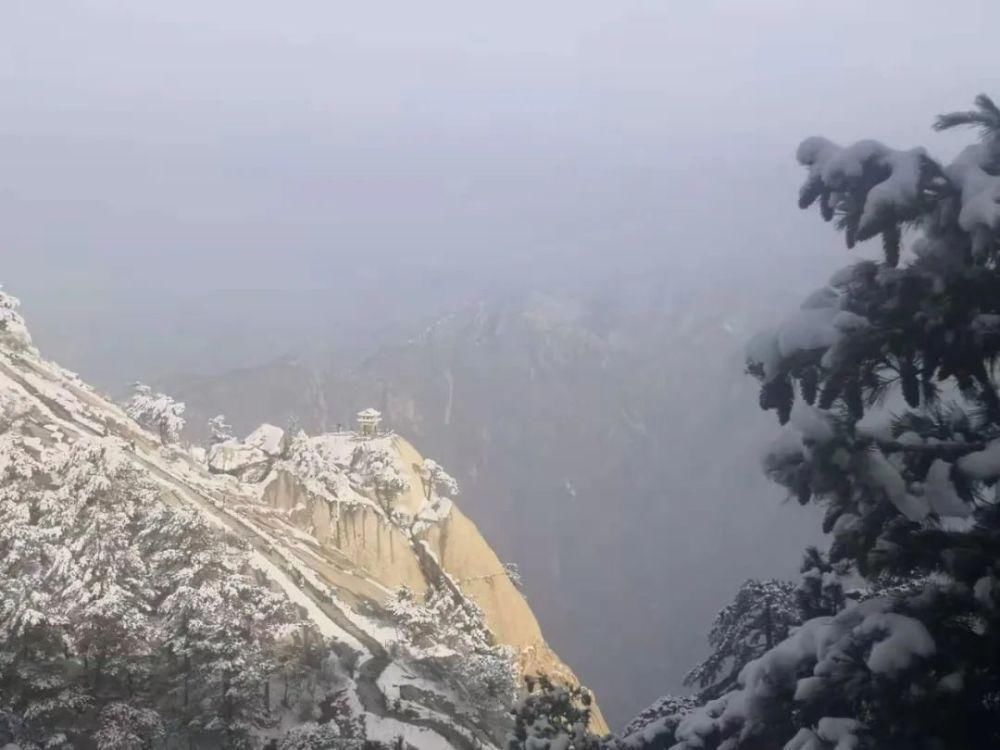  故事|敲黑板！“雪的故事”征文活动开始啦~~