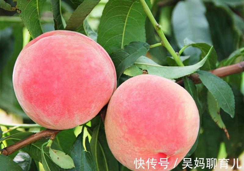 血糖|吃什么水果降血糖最快？医生推荐“7种”水果，或可降糖还控糖