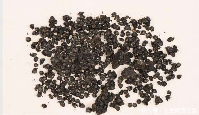 考古人员|喇家遗址出土一碗四千年前老面,专家经过研究,破解面条成分之谜