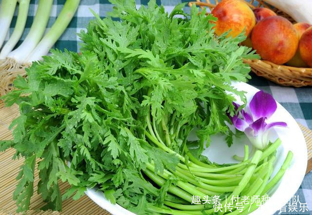 种茼蒿，采收时连根拔起教你1个技巧，茼蒿摘完一茬又一茬