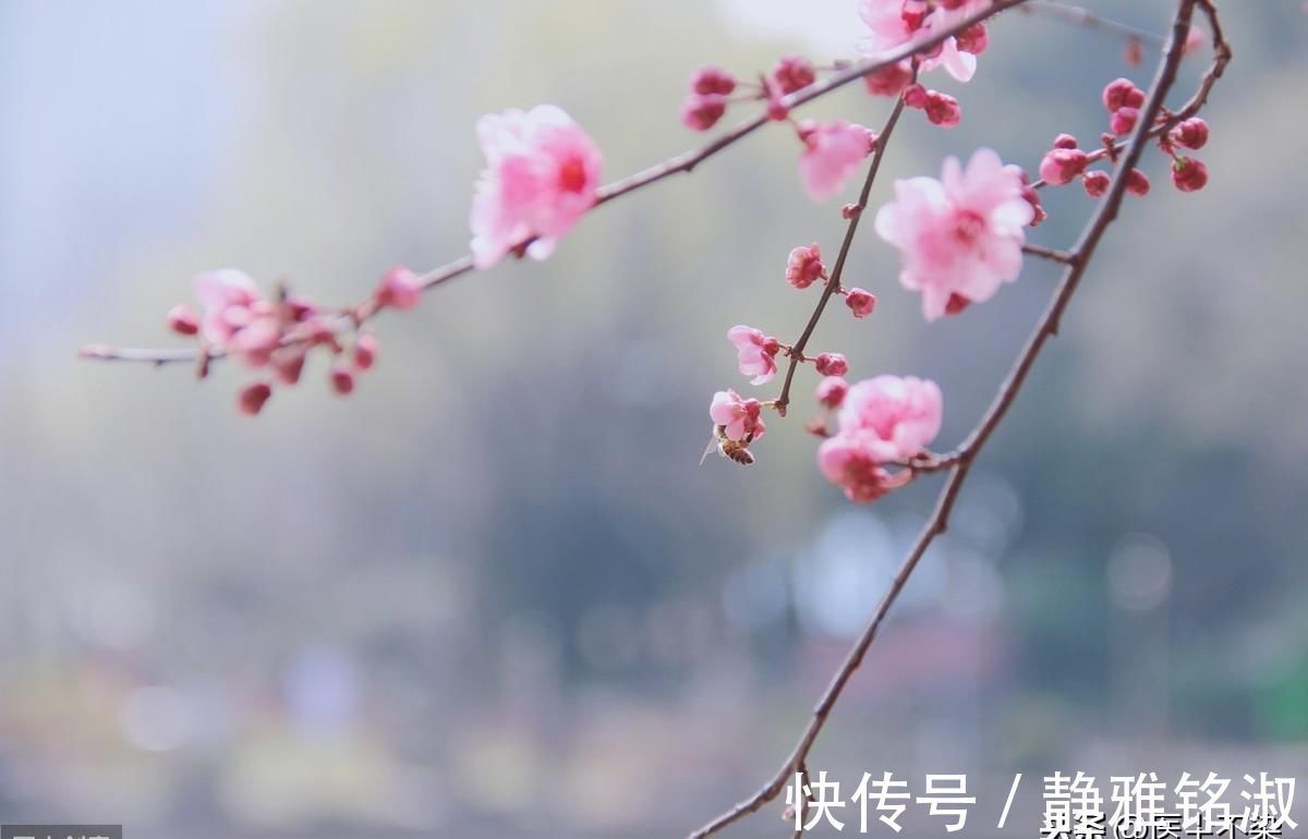 肠鸣腹泻|脾虚了,天天肠鸣腹泻不消化,十年的旧疾能治好吗试试这个经验