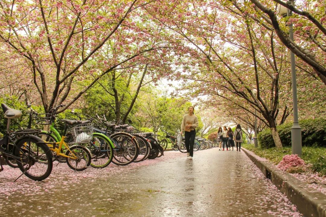 我“雨”最美校园，一起云赏沪上46所高校雨中即景