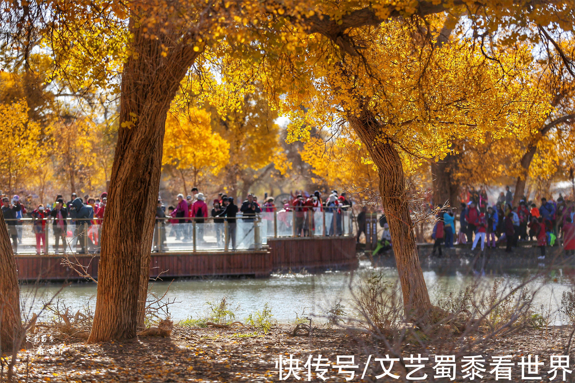 额济纳旗|额济纳旗胡杨要变得金黄了，错过了就要再等一年，找个人陪你去吧