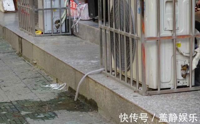 生活小窍门，10个日常生活技巧，学会了，省钱还省心，收藏！