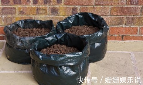 如何用一个塑料袋种植土豆想吃新鲜有机土豆的进来