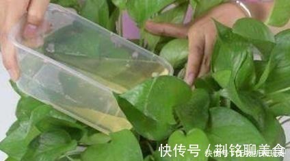 养花难不难?老花匠说:难的是养土,学会2个小诀窍,养好花不难