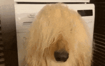 |搞笑GIF:阿姨,你就不能等它凉了之后再吃吗?