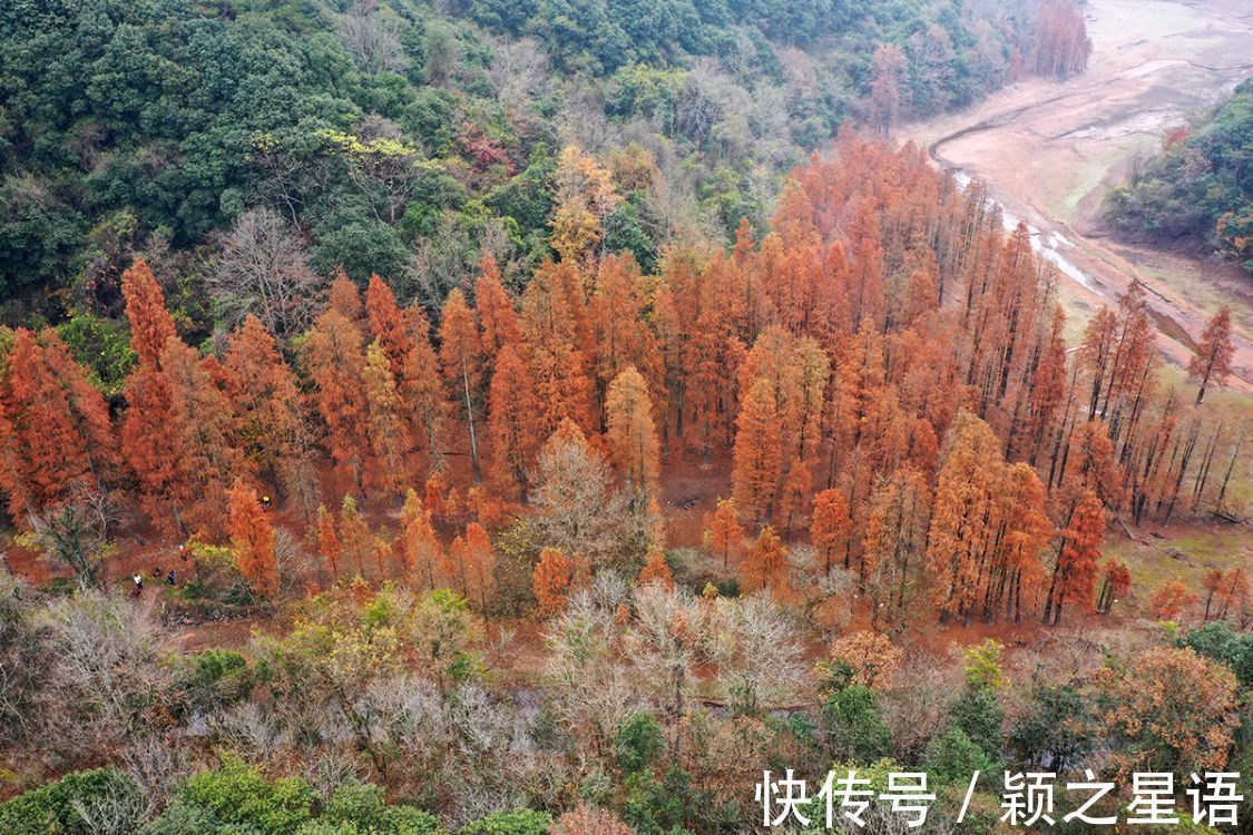 颖之|小众秘境风光，一个个被糟蹋，征集黄金古道有伤风景的照片