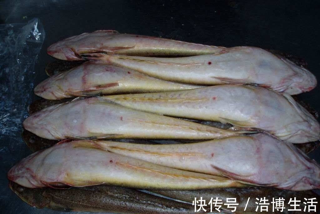 此鱼比鲫鱼刺少，比鲤鱼肉嫩，高蛋白低脂肪吃不胖，比吃红肉健康