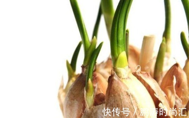 健康|转告父母:3种“食物”就算已经发芽,也可以放心的吃!