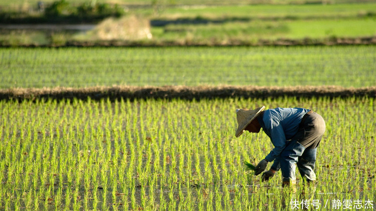 农村|俗语“闰四月,兆年荒”啥意思为何农村老人都不喜欢闰四月