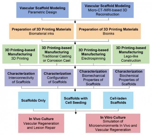 哈工大3D打印用于血管再生的组织工程支架