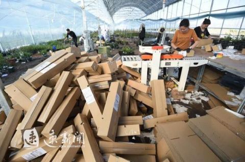 电商|物流提速增效 电商提前备货 沭阳：政企总动员迎战“双十一”