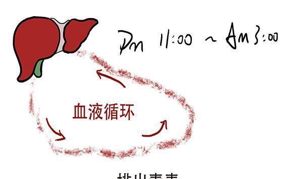 栗子|一切大病从脾衰开始，脾的“恩人”被找到了，带着吃，养好脾