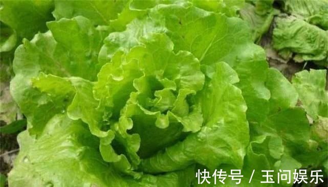 滋补身体|女性不想老太快,3种蔬菜别放过,营养丰富,滋补身体,早吃早好