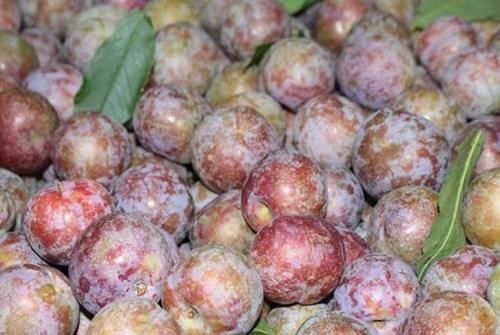 女人怀孕后,冰箱里要常备这4类食物,多吃对自己和胎儿有好处