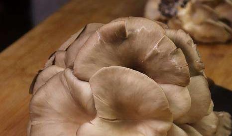 淀粉|油炸蘑菇,到底是用淀粉还是面粉其实都不是,让大厨来教你