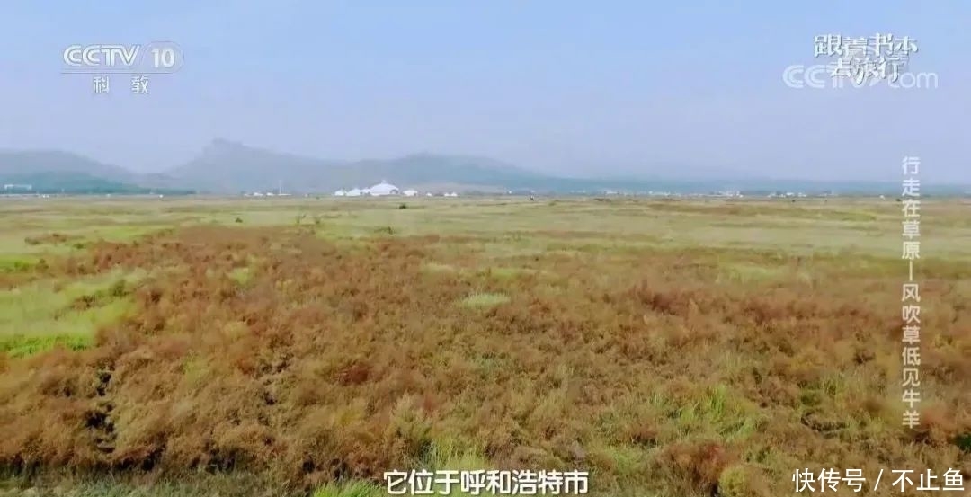 玉门关 不愧是央视,拍的“大语文”综艺简直一流