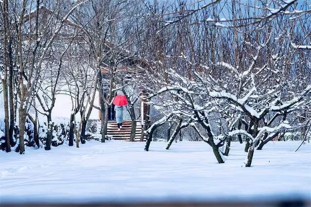 仙境|雪后的里口山，美成了仙境？