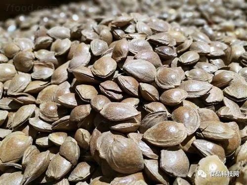  润肺|冬季养肺正当时，这6种食物能养肺润肺，不要错过了