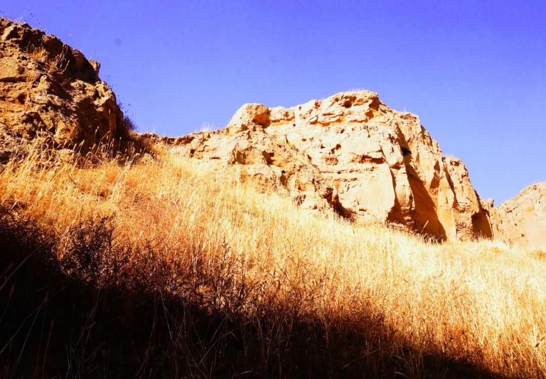 脚踏|一路银川,水洞沟遗址脚踏黄土来,机关四起藏兵洞
