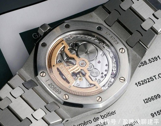 橡树|没有了百达翡丽“鹦鹉螺”,还有什么表能代替它的位置?