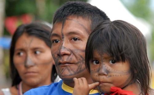 全球变暖 如果亚马逊雨林被彻底烧毁,可能会发生在地球上的11件事