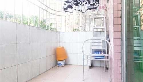 发财树发黄还烂根?水浇错了,换个浇法呼呼疯长,植株苍劲挺拔