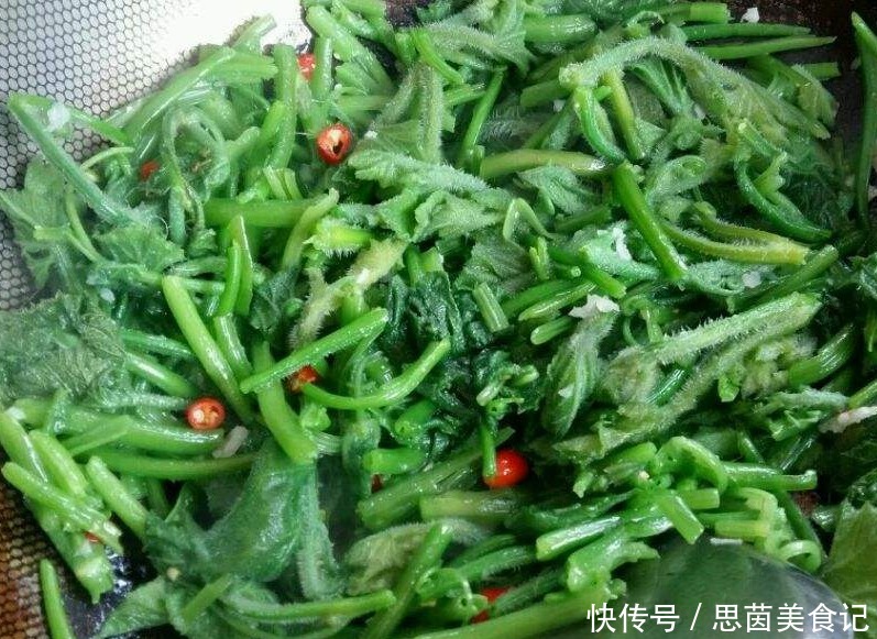 7成人把它當(dāng)“雜草”,一分錢不花,潤腸排毒,口臭不見了,別不懂吃