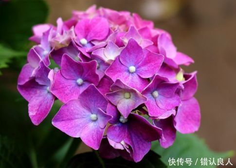 排毒|女性过了40岁,推荐3种食物,排毒清肠,刮