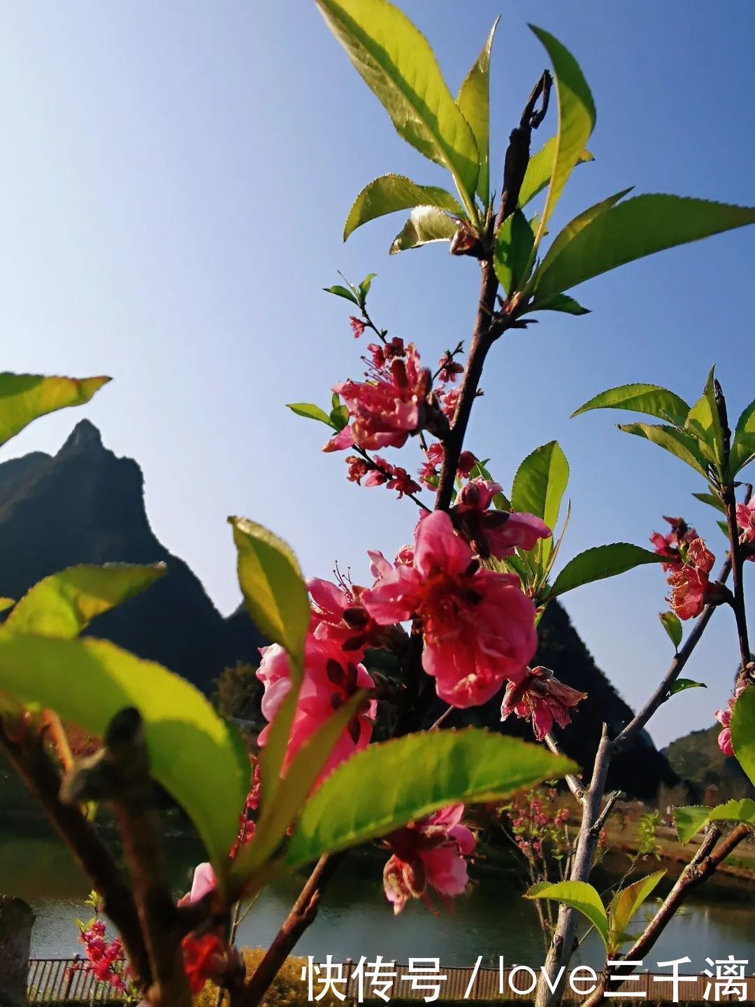 三千漓丨春风送暖百花开，正是赏景好时节