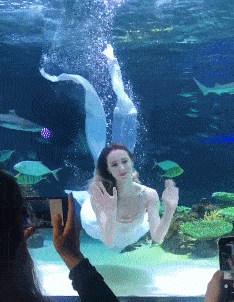 |搞笑GIF:这位女士因为拿了自家鹅的蛋,结果长期被鹅追杀